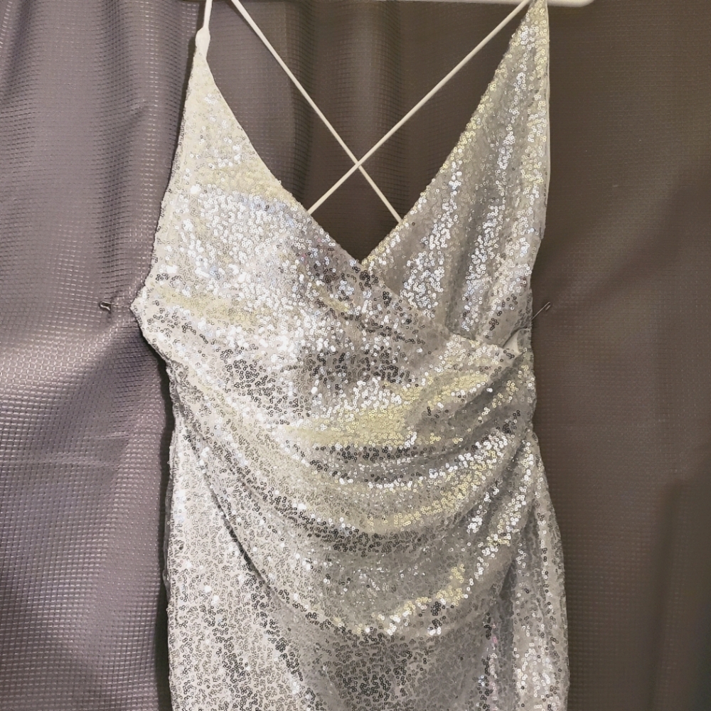 Shimmery Party Dress